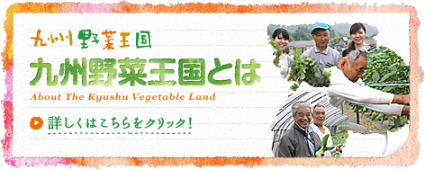 九州野菜王国とは