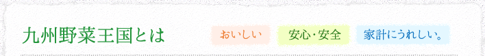 九州野菜王国とは