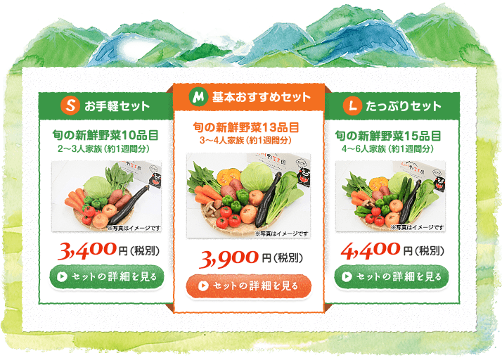 九州野菜元気くらぶ　お手軽セット3,400円(税込)。基本おすすめセット3,900円(税込)・たっぷりセット4,400円(税込)