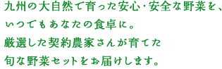 九州の大自然で育った安心・安全な野菜を、いつでもあなたの食卓に。厳選した契約農家さんが育てた旬な野菜セットをお届けします。