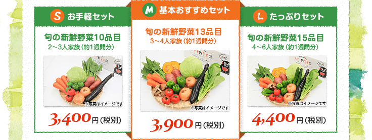 お手軽セット2,980円(税込) 基本おすすめセット3,900円(税込)　たっぷりセット4,400円(税込)