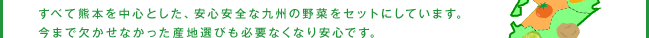 すべて熊本を中心とした、安心安全な九州の野菜をセットにしています。今まで欠かせなかった産地選びも必要なくなり安心です。