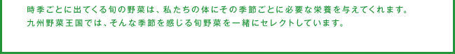 時季ごとに出てくる旬の野菜は、私たちの体にその季節ごとに必要な栄養を与えてくれます。九州野菜王国では、そんな季節を感じる旬野菜を一緒にセレクトしています。