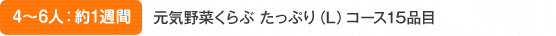 4～5人：約1週間 元気野菜くらぶ たっぷり（L）コース15品目