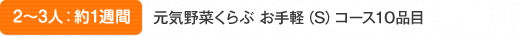 2～3人：約1週間 元気野菜くらぶ お手軽（S）コース11品目