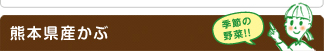 熊本県産かぶ