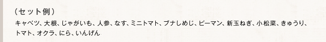 （セット例）キャベツ、大根、じゃがいも、人参、なす、ミニトマト、ブナしめじ、ピーマン、新玉ねぎ、小松菜、きゅうり、トマト、オクラ、にら、いんげん