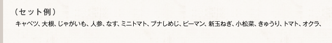 （セット例）キャベツ、大根、じゃがいも、人参、なす、ミニトマト、ブナしめじ、ピーマン、新玉ねぎ、小松菜、きゅうり、トマト、オクラ、たまご