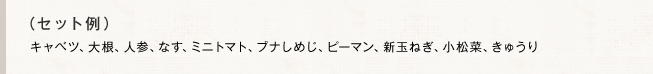 （セット例）キャベツ、大根、人参、なす、ミニトマト、ブナしめじ、ピーマン、新玉ねぎ、小松菜、きゅうり