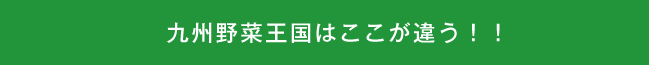 九州野菜王国はここが違う！