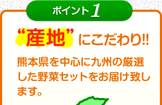 ポイント1 産地にこだわり!!熊本県を中心に九州の厳選した野菜セットをお届け致します。