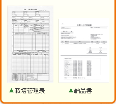 安全基準資料