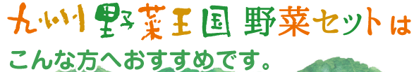 九州野菜王国野菜セットはこんな方へおすすめです。