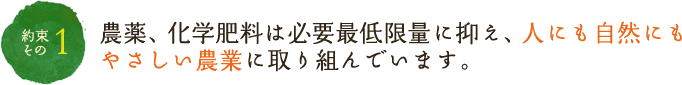 農薬、化学肥料は必要最低限量に抑え、人にも自然にもやさしい農業に取り組んでいます。