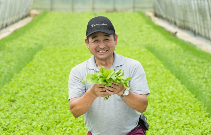 ベビーリーフ農家　　林さん