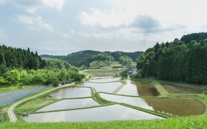 寒暖差の激しい気候が野菜の旨みを引き出します