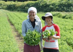 こだわり新鮮有機野菜！！