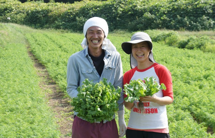 有機野菜農家　飯星さん