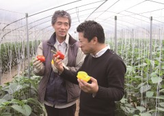 熊本・植木町のハウス野菜！