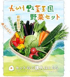 謹んで新年のお慶びを申し上げます 九州野菜王国