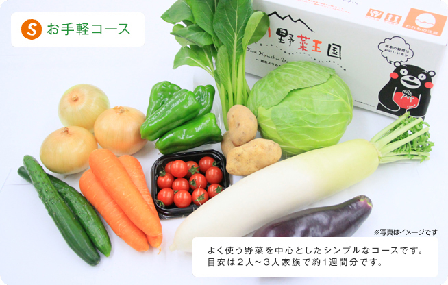 （S）お手軽コース よく使う野菜を中心としたシンプルなコースです。目安は2人～3人家族で約1週間分です。