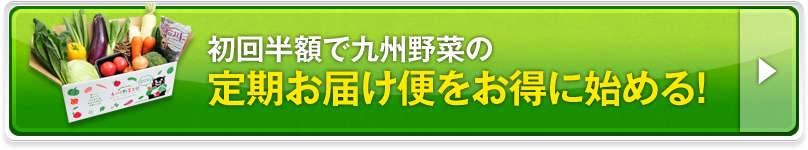 初回半額で九州野菜の定期お届け便をお得に始める！