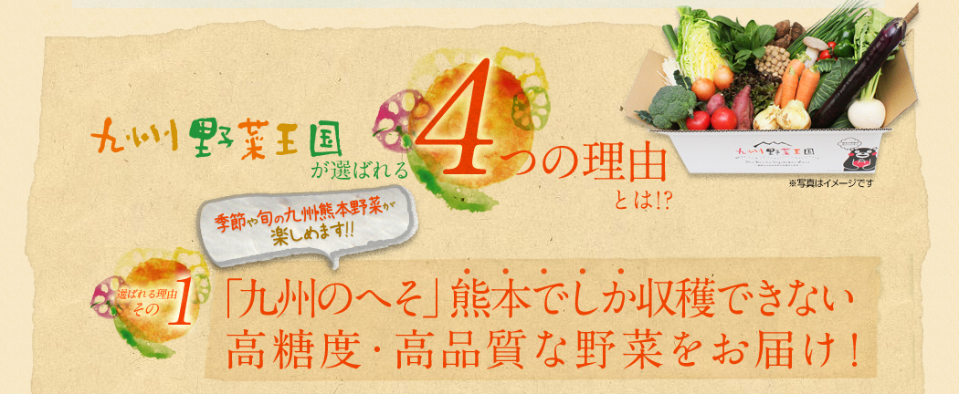 九州野菜王国が選ばれる4つの理由とは!?