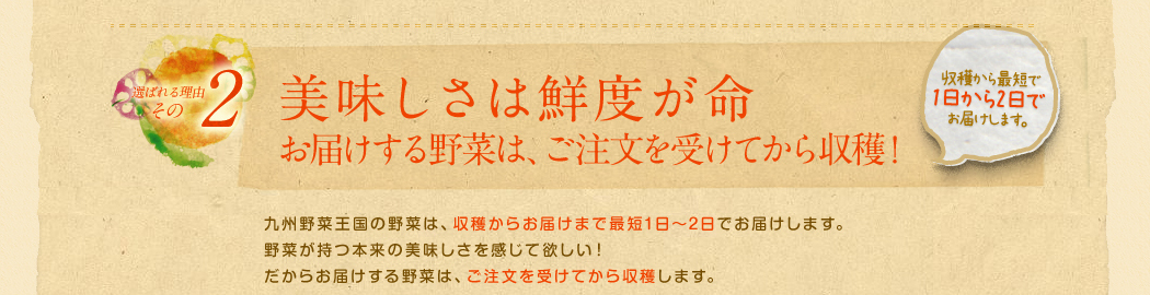 美味しさは鮮度が命!!お届けする野菜は、ご注文を受けてから収穫！