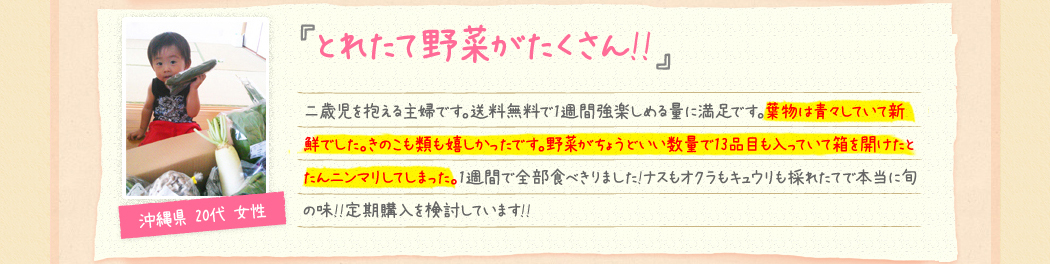 『とれたて野菜がたくさん!!』