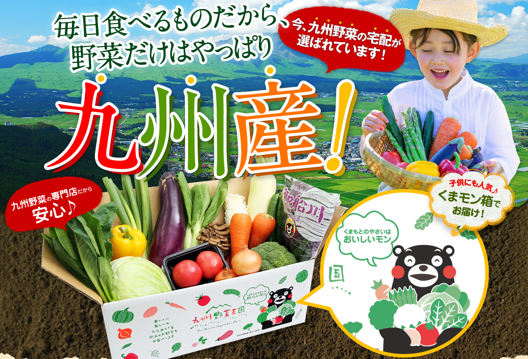 野菜の宅配は九州産が人気