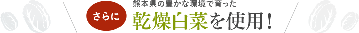 さらに熊本県の豊かな環境で育った乾燥白菜を使用！