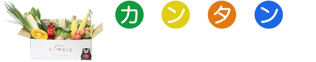 （お得なお試しセット）お申し込みフォーム