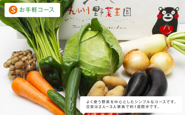 野菜セット10品目 ｜ 九州野菜王国