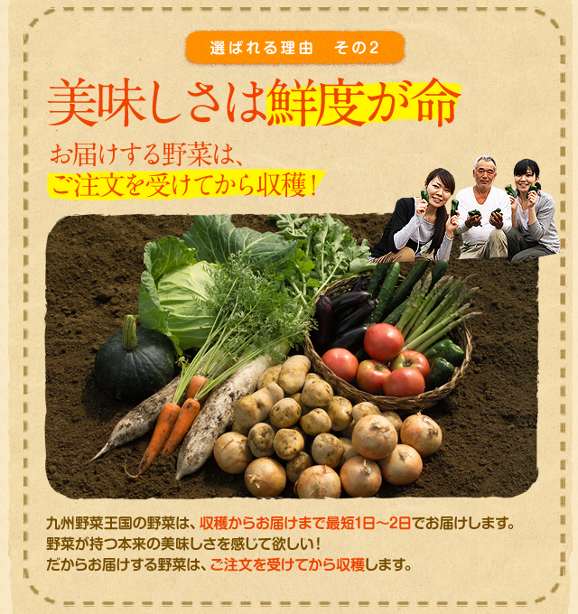 お得なお試しセットLP ｜ 九州野菜王国